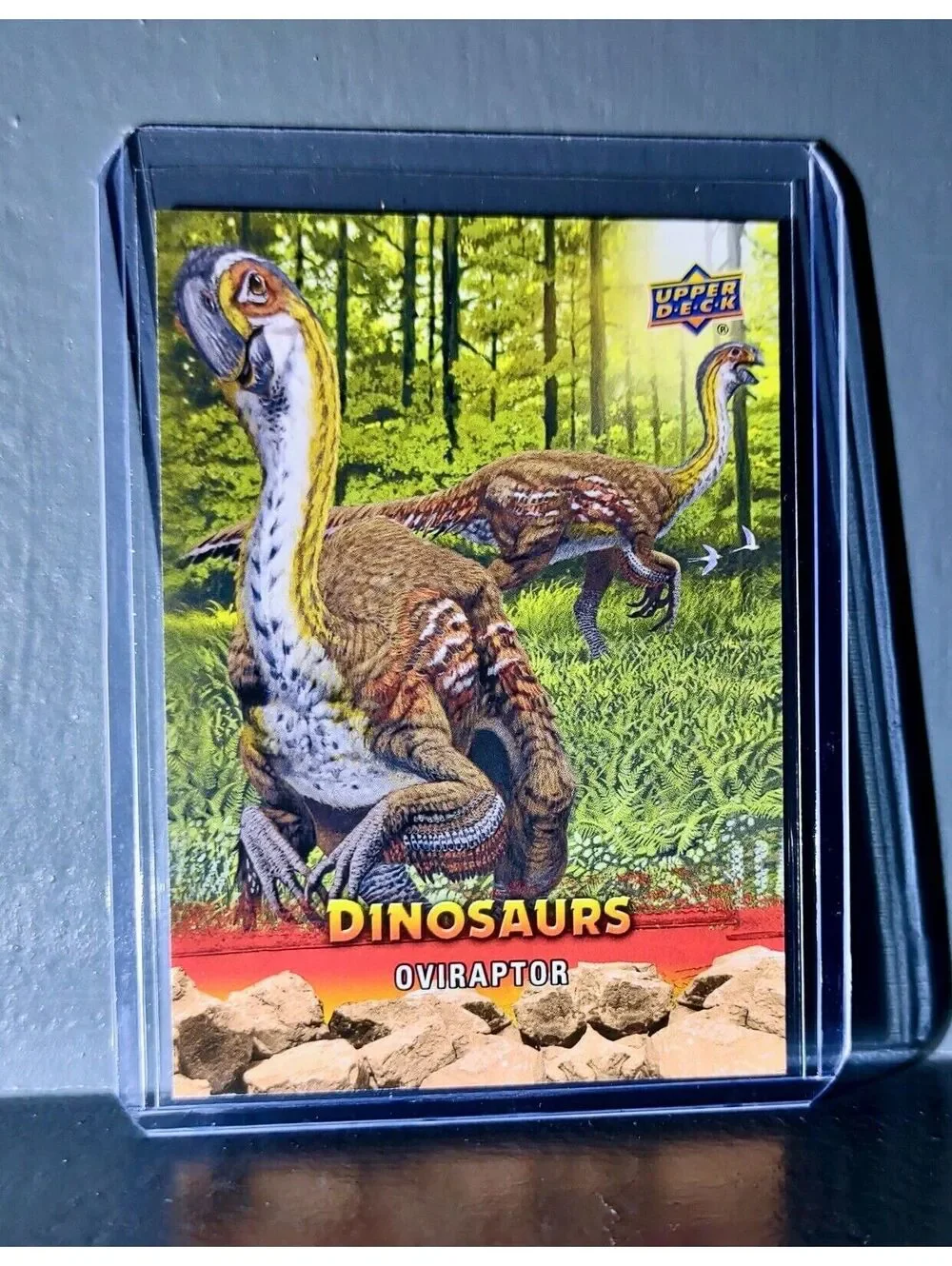 2015 Upper Deck Dinosaurs Oviraptor Extinction Red Parallel #39 Card